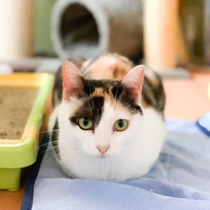 7717882d 2b39 4ae4 a9a4 04c42808f103 1569464973245