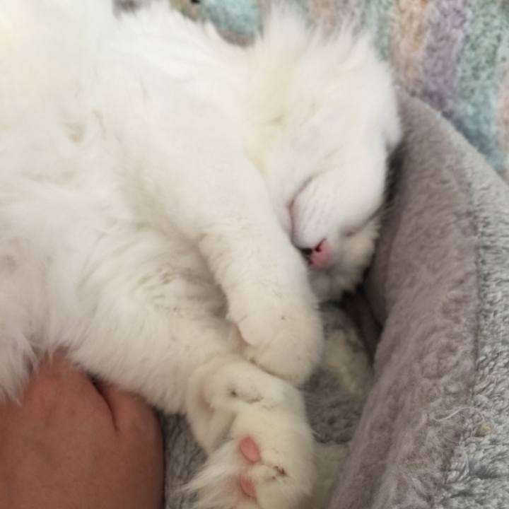 77178db8 6b49 494b 9773 732c1ec4f290 1510461466567