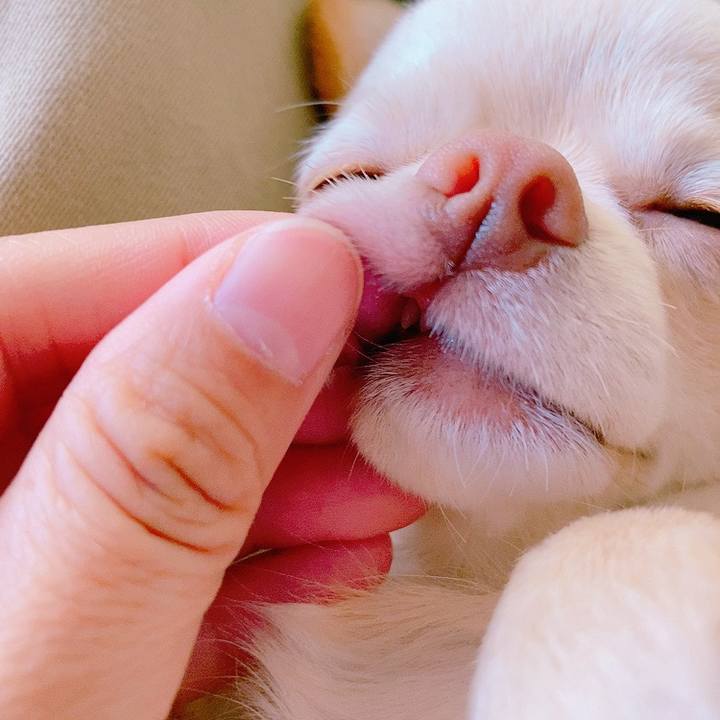 7717acac 3ec3 4bfb b354 aa624c3e4a53 1622005365036