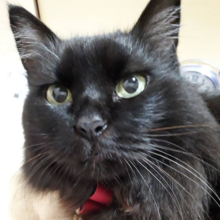 7717b1e4 bf3b 4229 b4df 987bb7069320 1544098248237