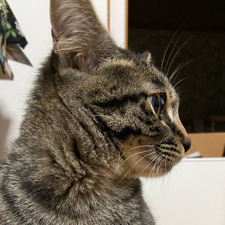 7717b6fb 9298 47a5 8931 f77e2a714df9 1617102121446