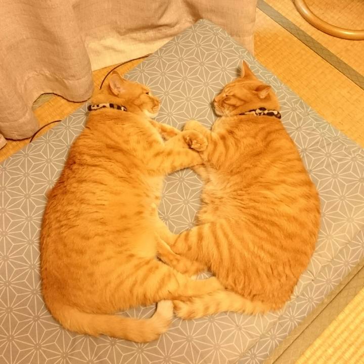 7717bf14 2b23 413c 9f37 8a98a5dfdaa3 1532433402238