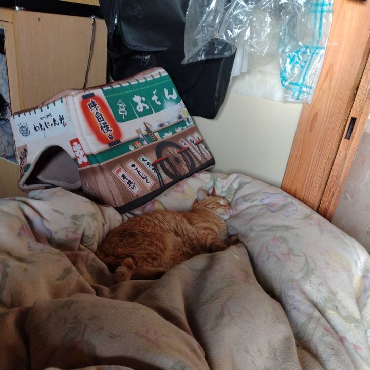 77181c74 e62f 4462 b0fb c424a68c1f23 1685572744681