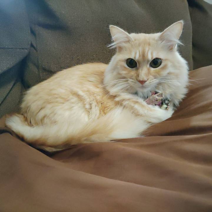 77184e53 2772 4e93 ad1d db1478d1287f 1697848355490