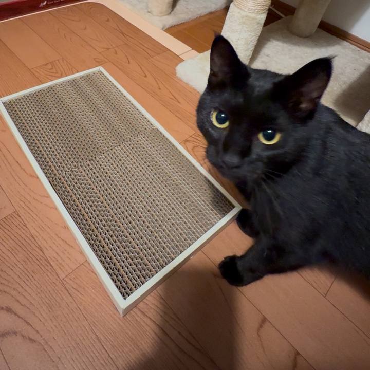 77187c42 bc1e 4ddc bf63 620703380ad0 1761006191329