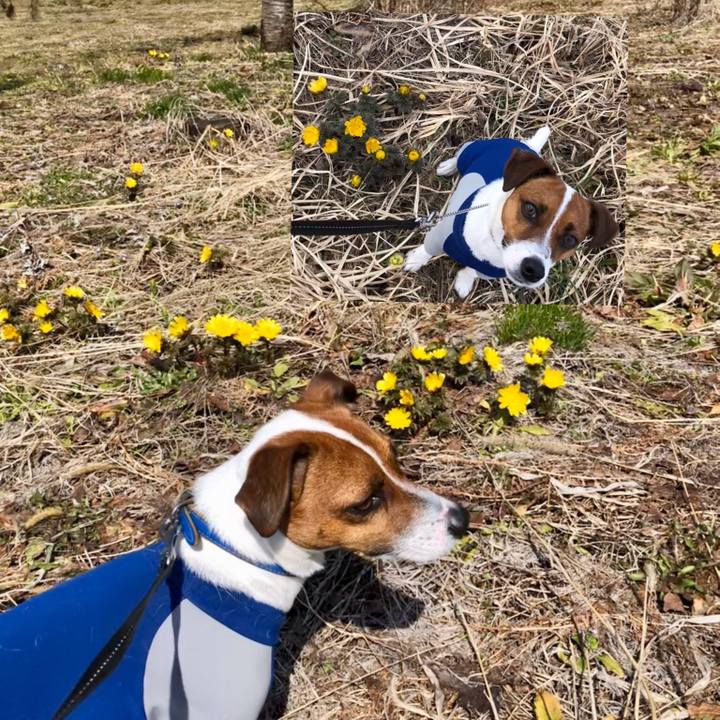 77189b54 b0f1 421b b473 36299b741c51 1583996160571