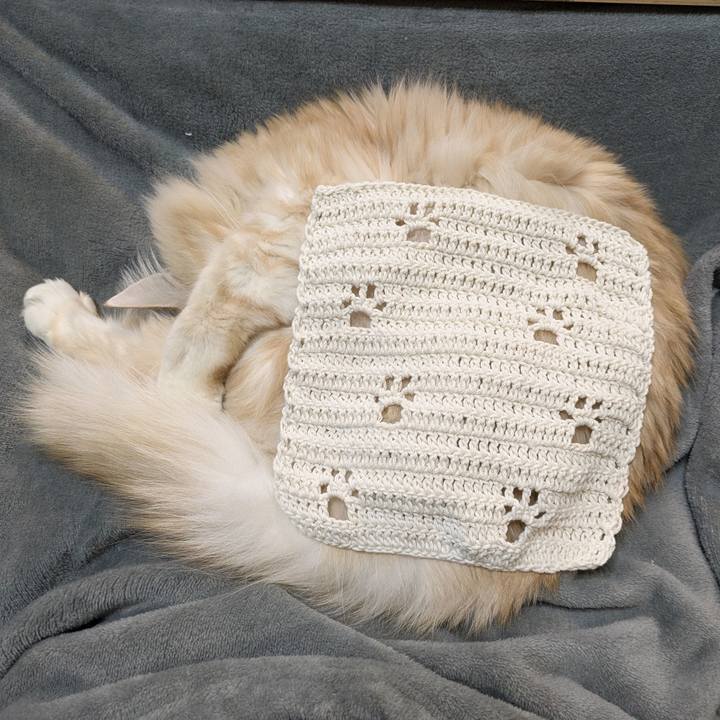 7718ccf0 fee2 410e a640 953ba16b8c15 1768810079500