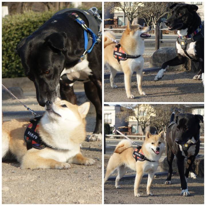 7718e1b5 986d 4edc a153 6bd6204ba24c 1646787102952