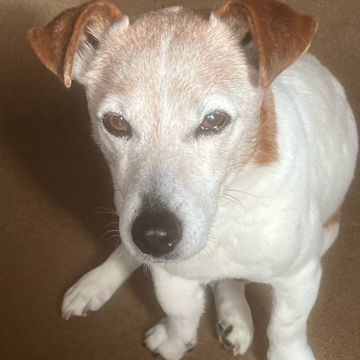 7718e3f6 311f 45db 8f34 e61e4943e9d9 1776383719870