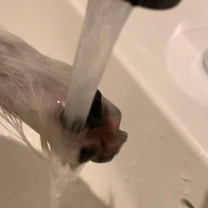 771916d9 6e7b 4800 99b2 d999f4e88bbd 1668602595768