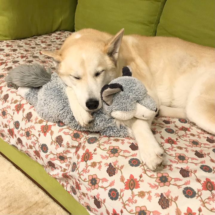 7719173d fe96 459b 8225 5a3e1a04d595 1647489313798