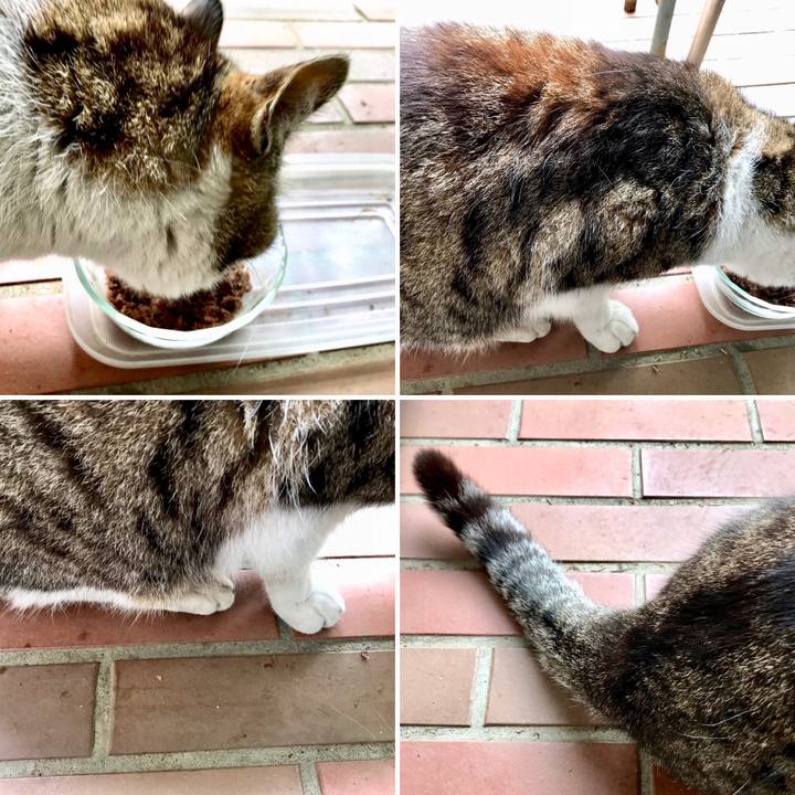 7719200b b604 445a 8593 879df473f713 1556071769490