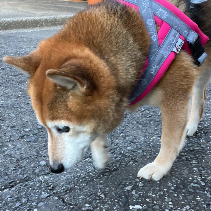 77193f76 74bd 4552 922c 6bdf07f9f308 1674287632901