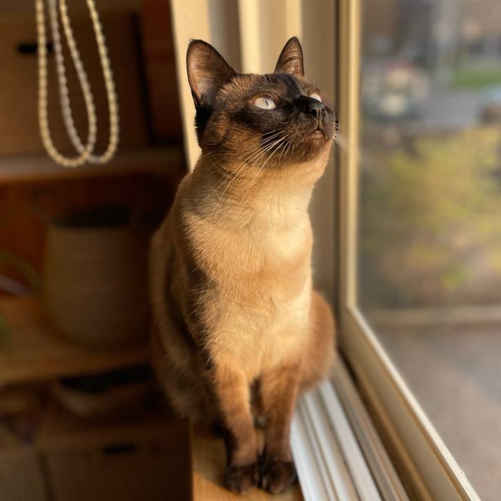 7719a33f e26e 4ef8 a9e5 74d6d0e646ad 1748766812356