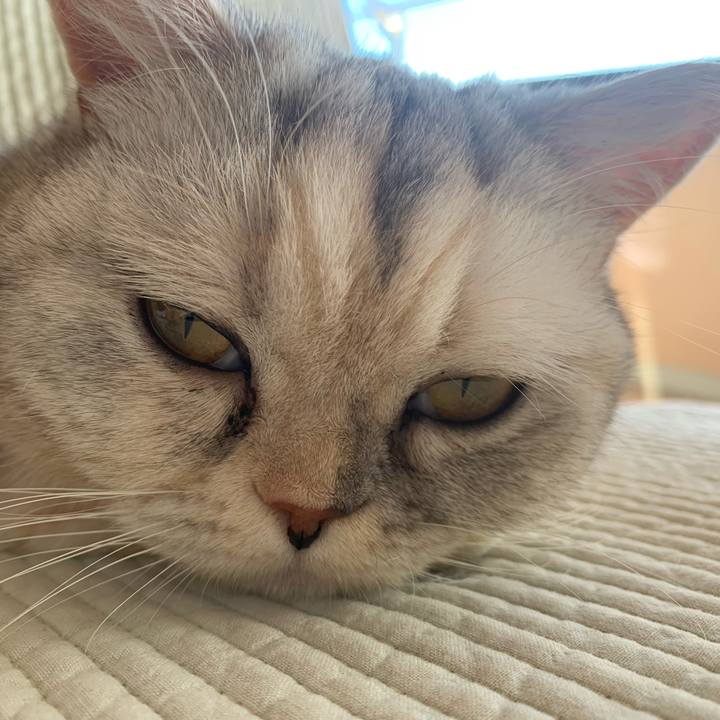 7719af30 28ca 4230 ab07 ab0ebdb0f8f3 1735179911516