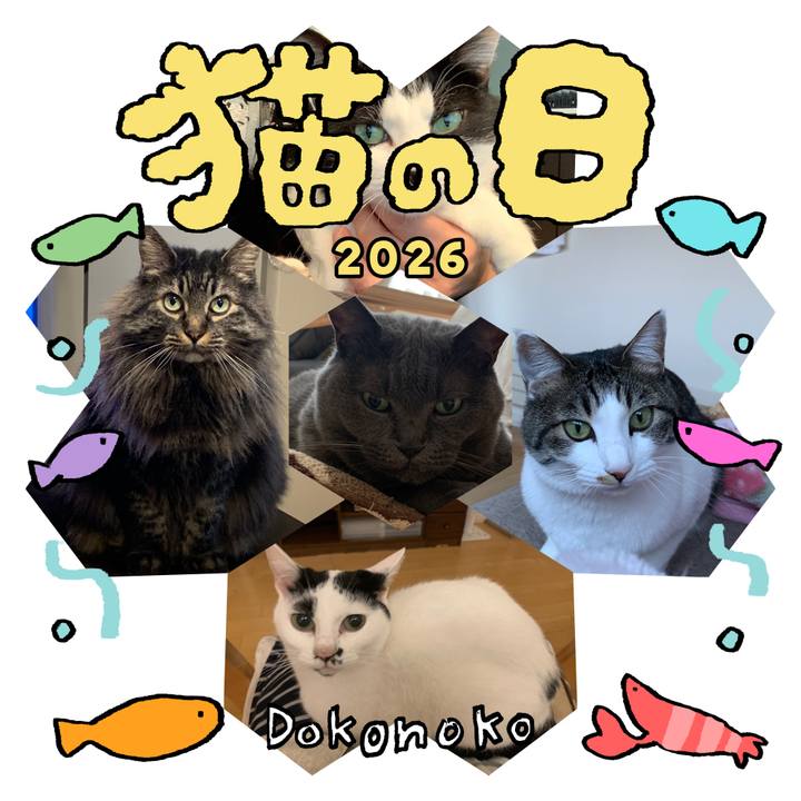 7719d81b 03c5 432c ab70 00704e6eeac8 1771741917522