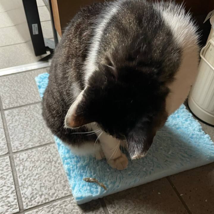 7719ddc1 3ab5 4e56 b855 bfb78d9d54ab 1622243801561