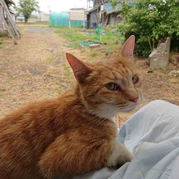 7719de37 e19b 49a8 9658 cf55f23232b8 1592109841501