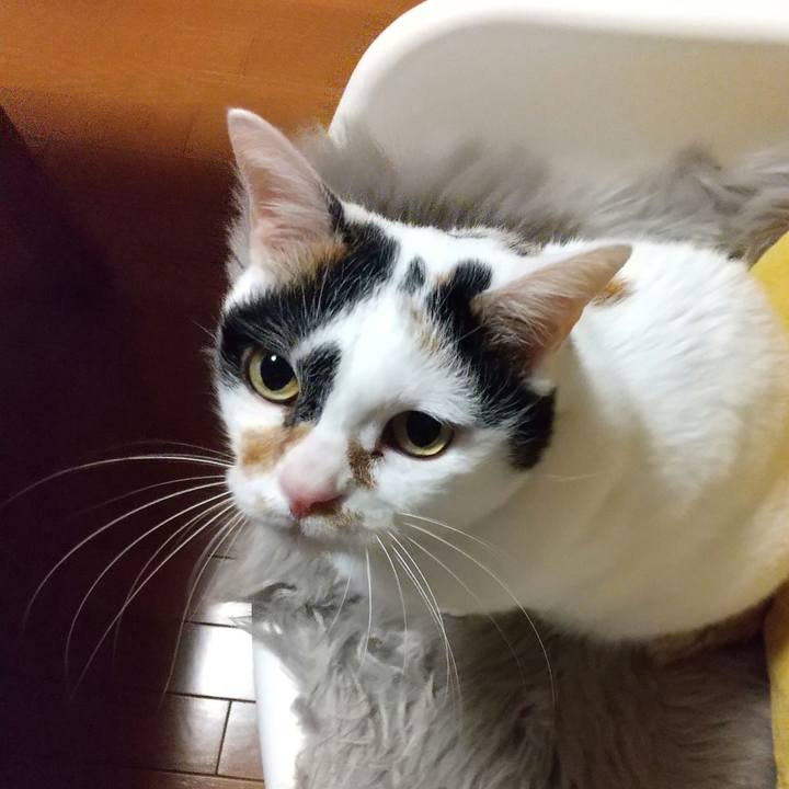 7719ef36 8d88 461b b4ca e5850c27b484 1613043720258