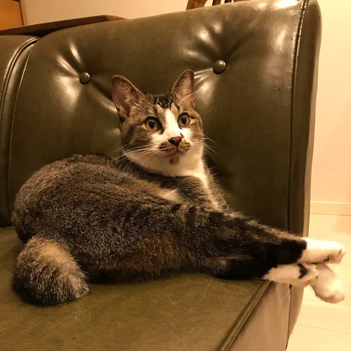 7719fa8f cfa2 4786 afd1 52d266995bb4 1536664691460