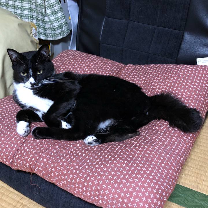 771a2018 e4cc 4750 8ea1 ca8872a12fc5 1561520794137