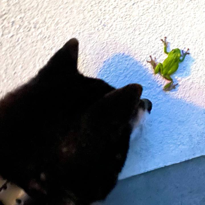 771a2bdf df4a 4a09 a6ad 6ce524c70183 1620214832963