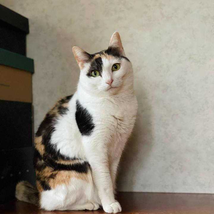 771a2bf6 8409 497a a2be afa8bfd6d166 1650591327838