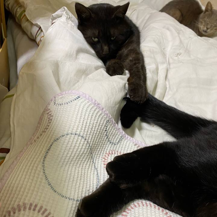 771a4d1f b86b 4983 a8bd 27980f9b6ac3 1644154713740