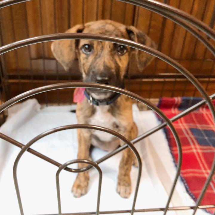 771a6e69 5479 4a59 b6f8 ff361a492f6e 1567816136890