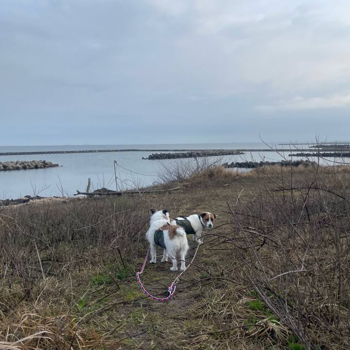 771a737e 553c 4986 b297 2b0df3bfcd24 1744329422797