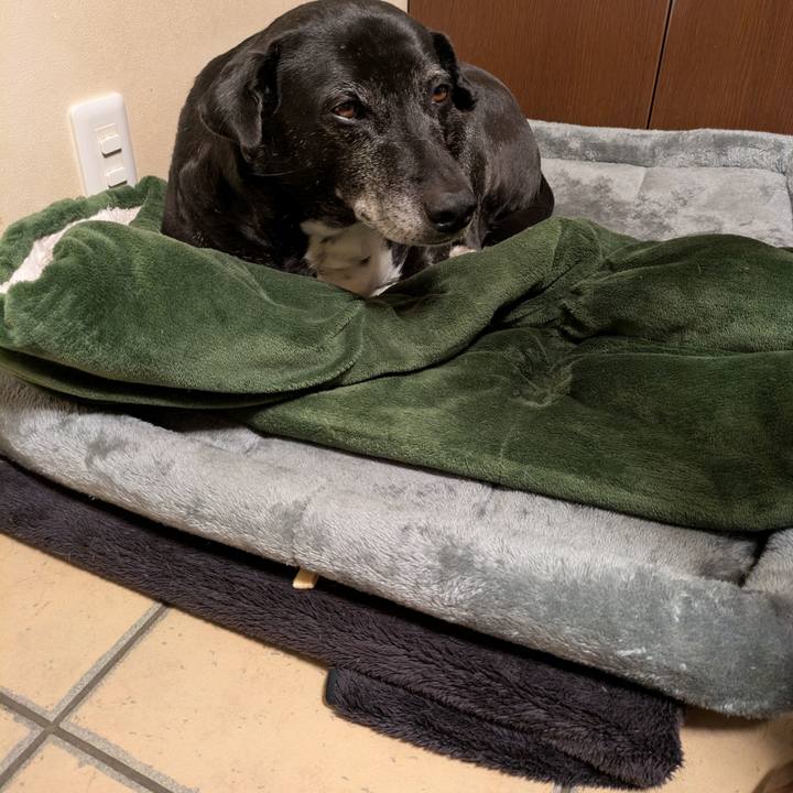 771a8da1 64b3 425c 8912 a6c58b2cf863 1766785958141