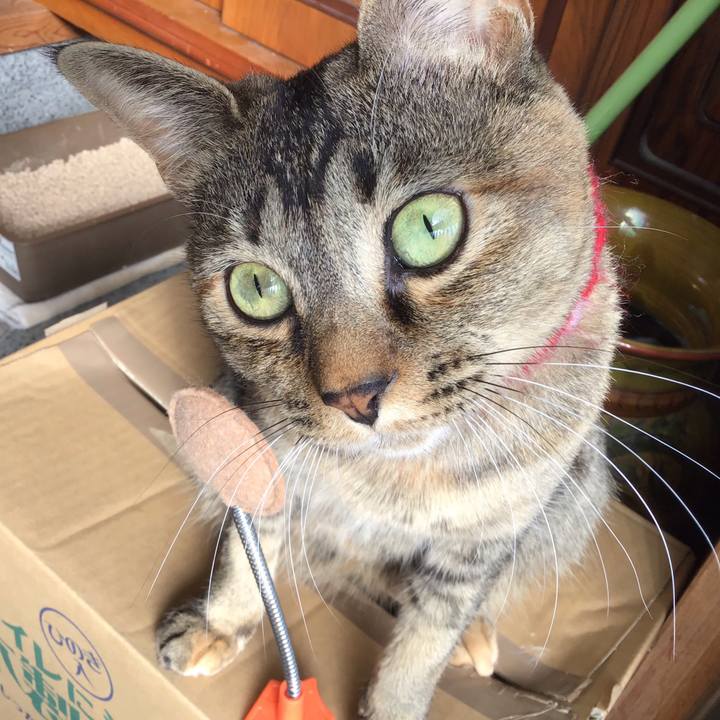 771a9303 0f5f 42d2 816a 623c1a59c79d 1612934917370