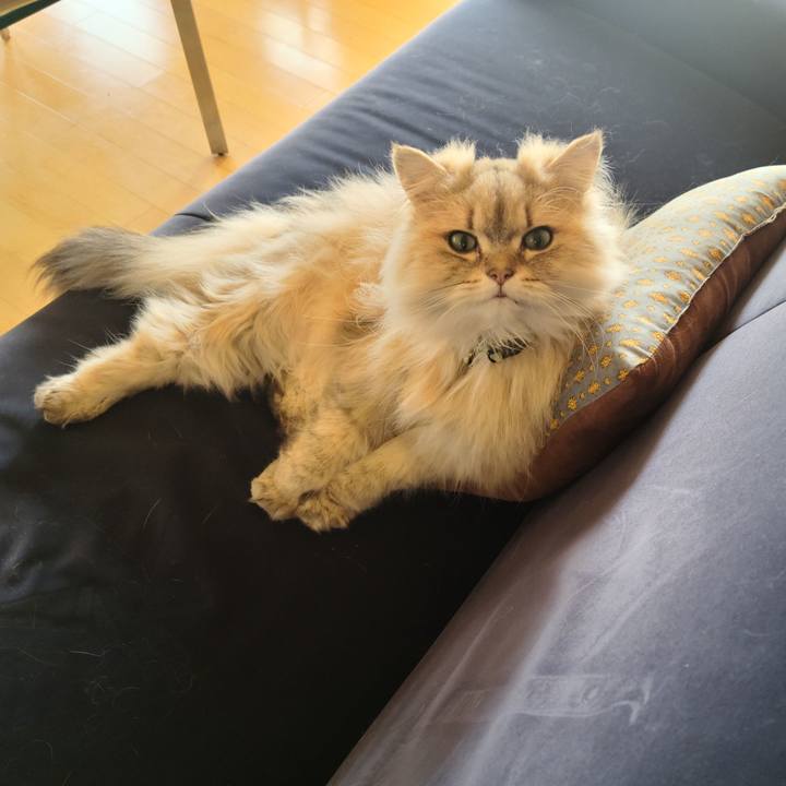 771ac6b0 3acb 4bc4 877b 936dee915c24 1651117317016