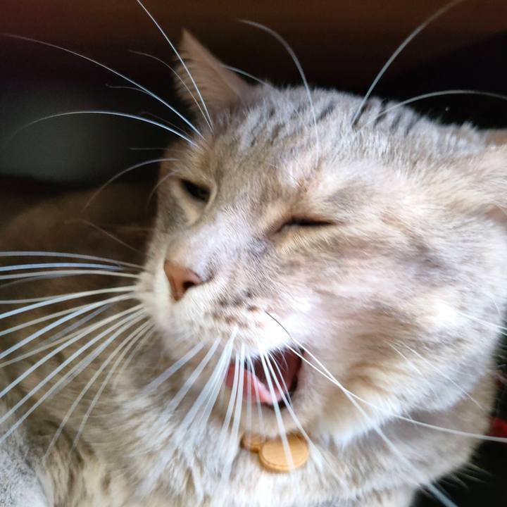 771ae5d5 da28 4814 8168 1d5f9b8b3bca 1633924117410