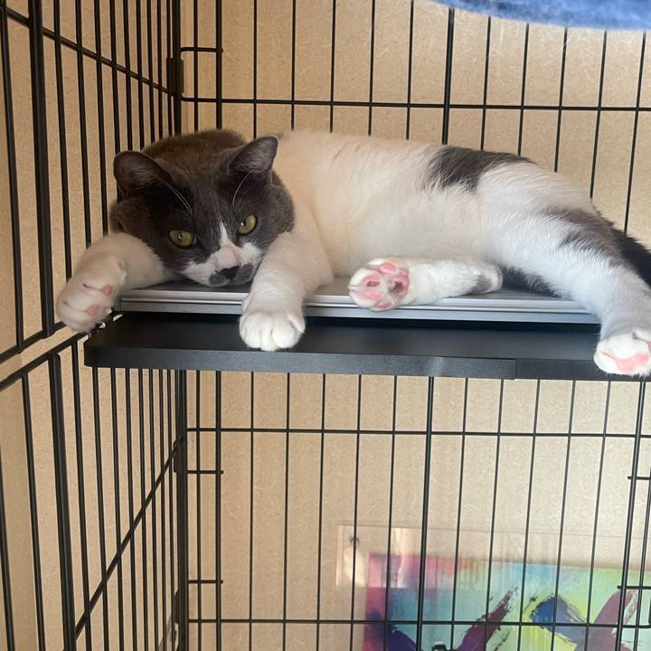 771af8cc 9ecc 4058 86bd 84671d34c987 1695944392445