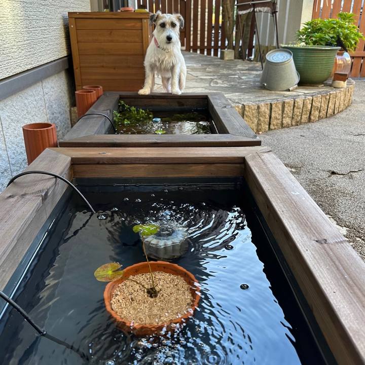 771afa34 6c58 4c7d b669 fd7a97ce7d3a 1693551387471