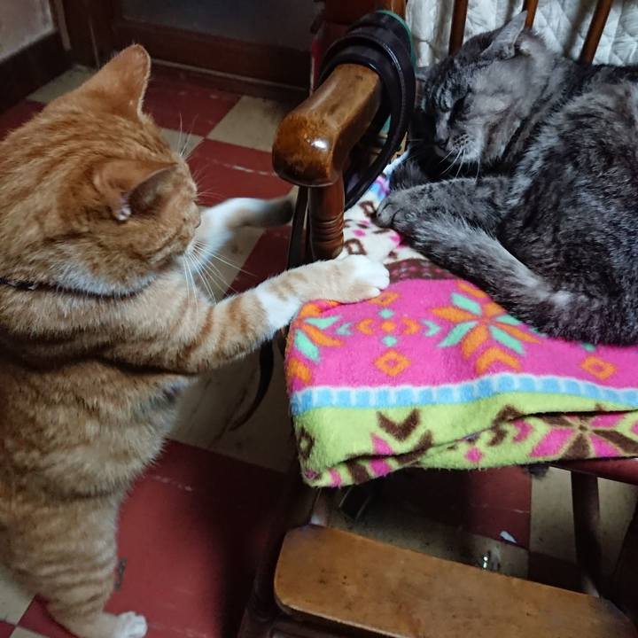 771b0b60 fc0c 47ce ae34 f1b1166b4a51 1571034334090