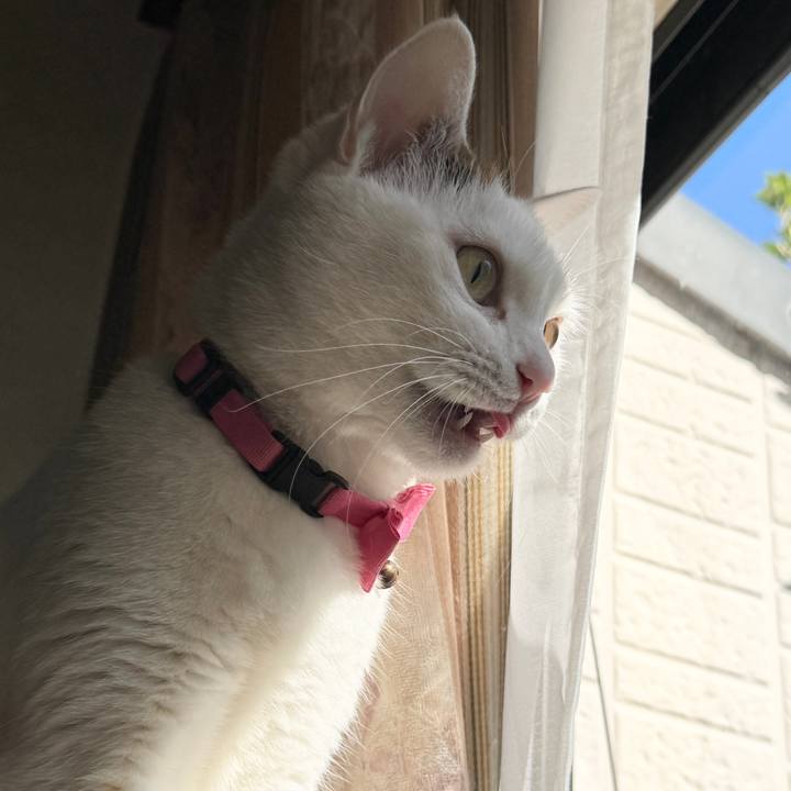 771b361a 88c8 43ed be9f 62e07a786130 1766920013293