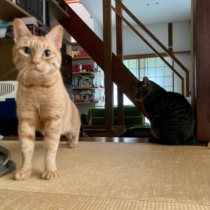 771b4274 e090 495d b1c4 31362954a4b8 1683332127513