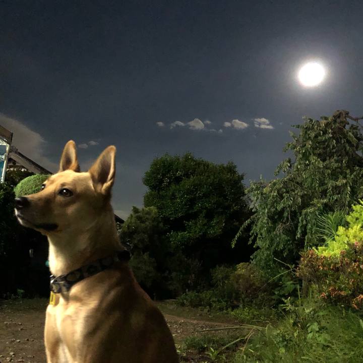 771ba285 0c3d 4578 9155 ffa41a3585c4 1560777129495