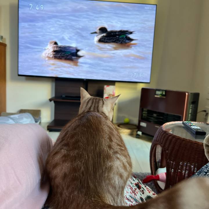 771ba47f 44ca 4cd7 ba71 7d1f6eabee48 1674946509783