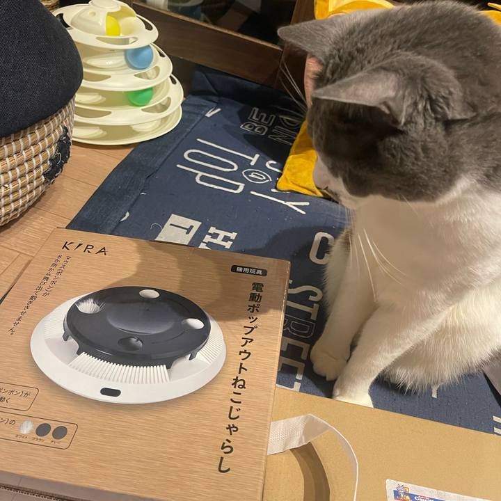 771bb25a 3dab 4c31 87fc 86281e99aea2 1734784051236