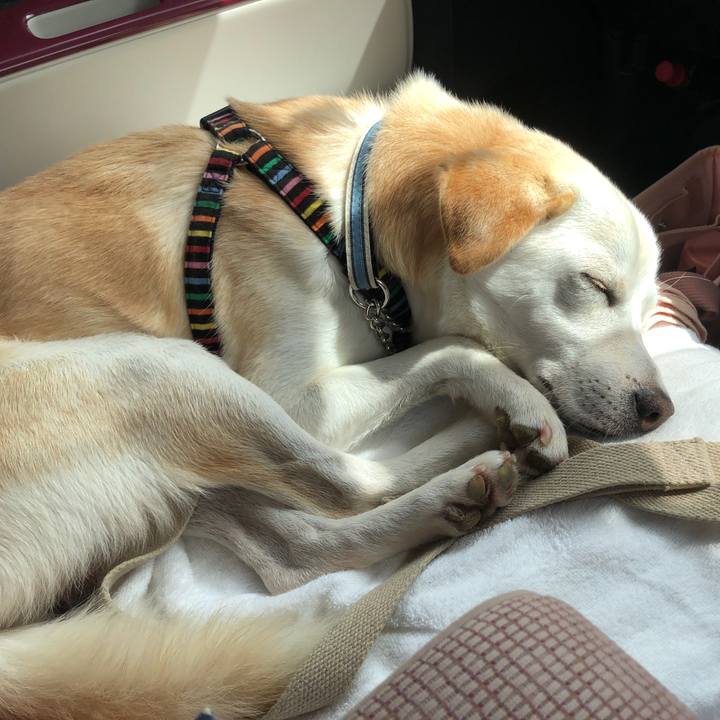 771bc278 f25b 4ed7 b104 0c2b95ba31e5 1630583585937