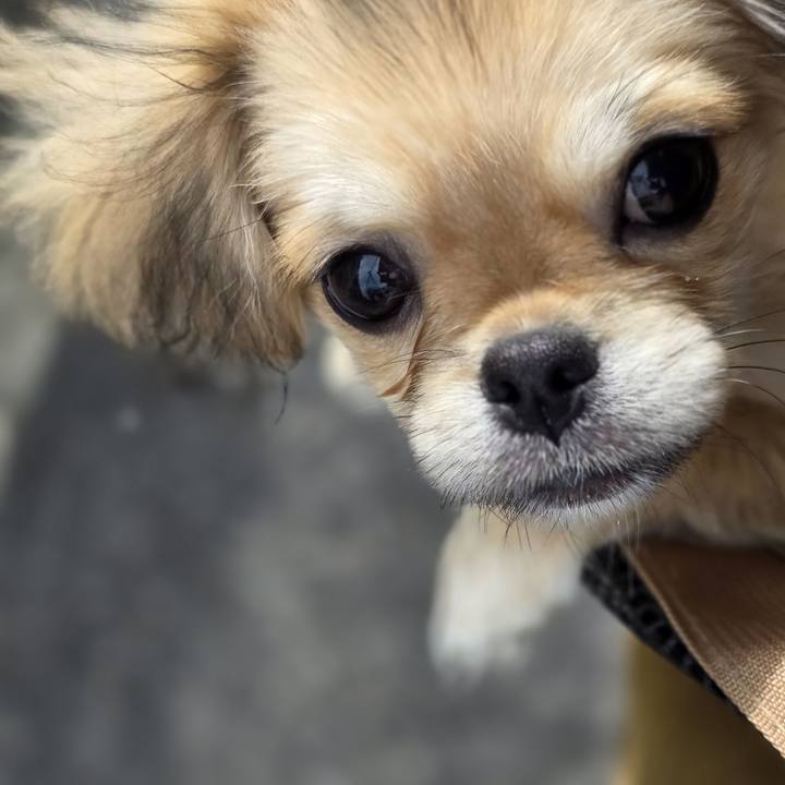 771bd11e be6c 425b a6f2 e5b743dabf81 1774659660820