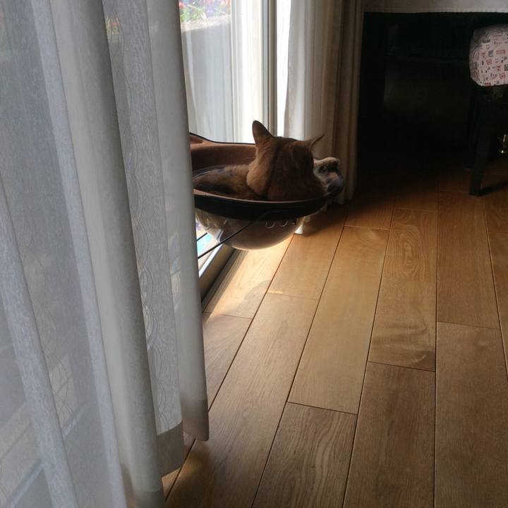 771bedf4 3e6a 4630 af1d 293f21f234eb 1617064718938