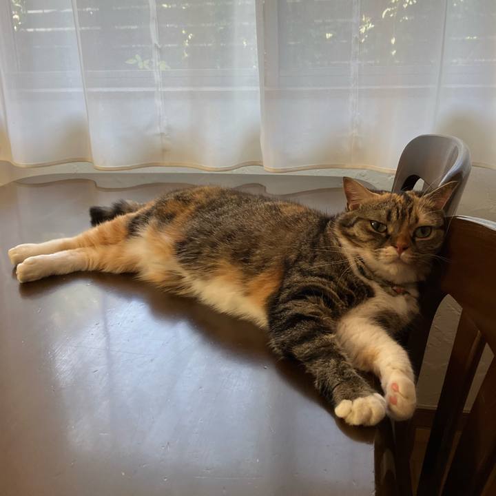 771c4459 bc5c 441d 9e4c 4c0d5e6e0f09 1758593742015