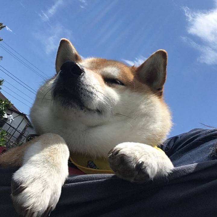 771c4cc0 d0d4 43c8 ab62 03d99eebffcd 1591848945146