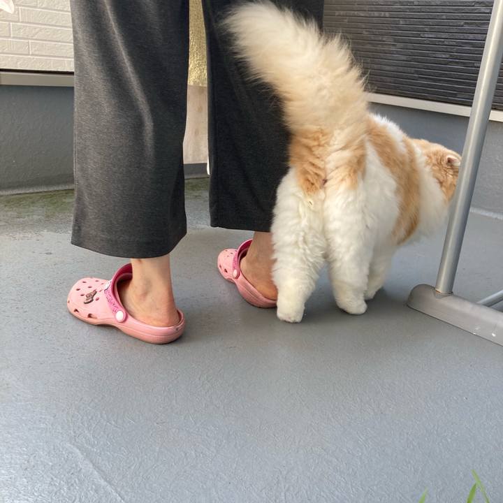 771c5363 ffb9 4430 950e 66cd4a0e087e 1655049529799