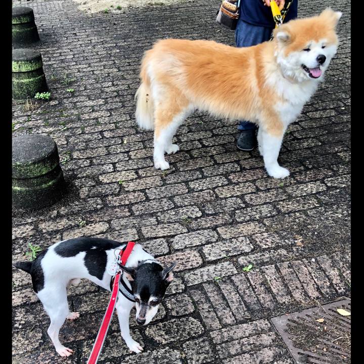 771c5820 108d 46f0 a291 58c72b9f13b0 1563588492032