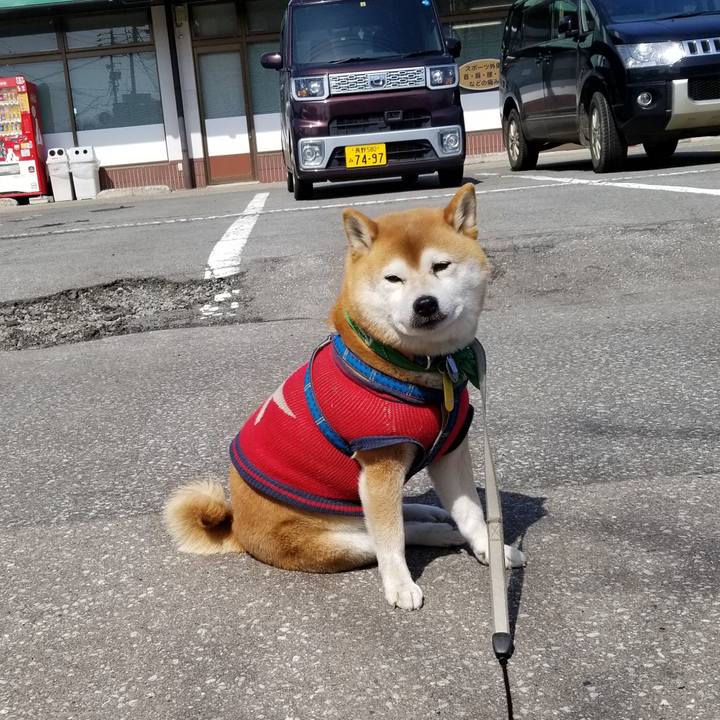 771c8fb5 8f2b 4524 bf4b fe7b09602aa2 1553486770427